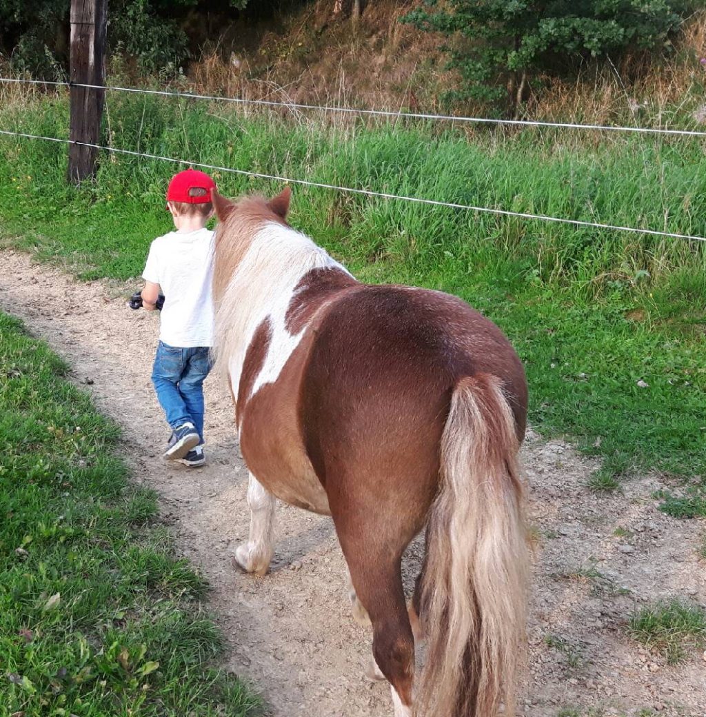 Junge geht mit Pony spazieren